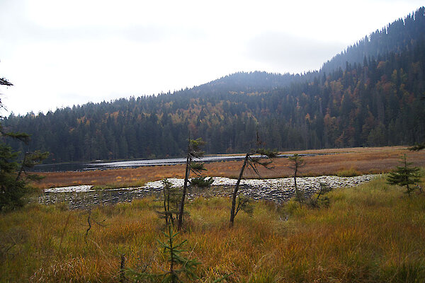Ausflugsziel kleiner Arberrsee